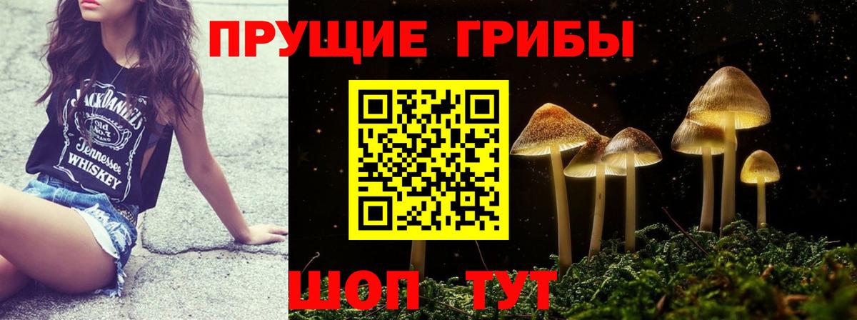 Астрахань  наркошоп  Вход с VPN  Галлюциногенные грибы ЛСД  Псилоцибиновые грибы мицелий 