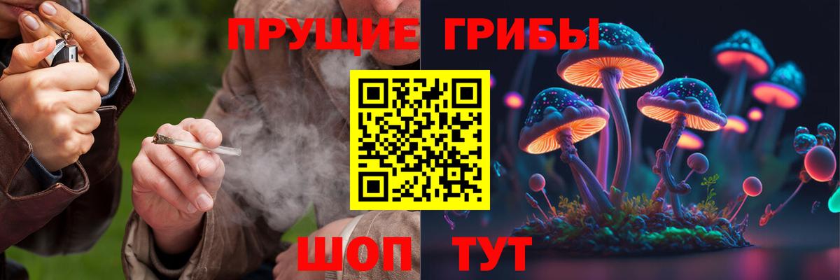 Псилоцибиновые грибы Magic Shrooms Астрахань
